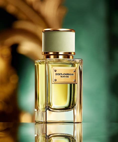 parfum velvet dolce gabbana|dolce and gabbana perfume website.